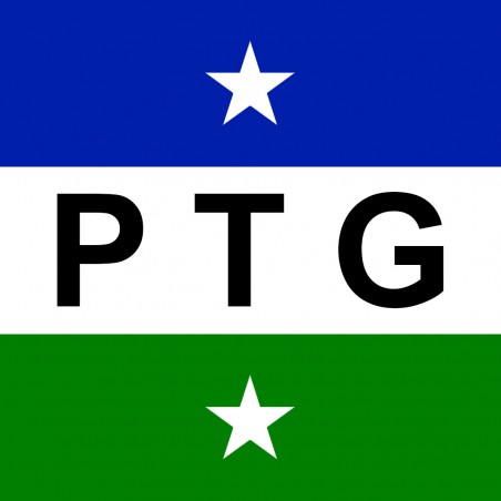 Autocollant étendard ou fanion drapeau de Patagonie. autocollant patagon. Identité patagone. Patagon et fier de l'être.
