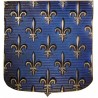 Blason de l'Ile de France, emblème et couleurs du Roi de France avant 1377. Blason du Roi de France, écu du Roi. Lys or sur fond
