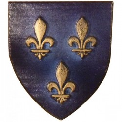 petit blason de l'Ile de France. Ecu du Roi de France. Blason du Roi de France