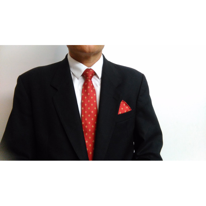 Lot cravate et pochette homme en soie motifs fleurs de lys