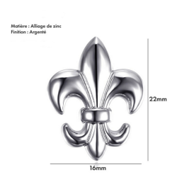 Epinglette, pin’s fleur de lys argent