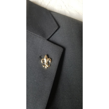 Broche fleur de lys argent ou or